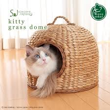 Imgrc0068299965 Jpg 680 680 Kedi Evi Kedi