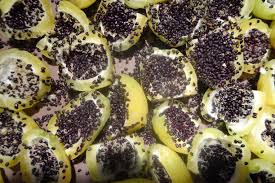 Barrel cactus flowers always grow at the top of the plant. Barrel Cactus Seeds Make Irresistible Appetizers Savor The Southwest
