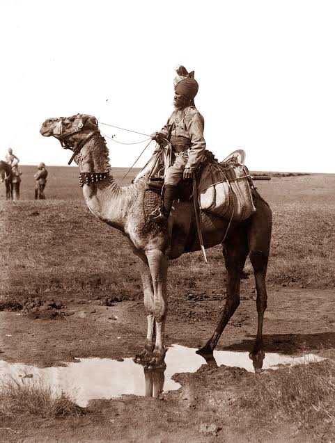 Mutiny of 1857: A Loyal Camel Trooper. | Farbound.Net
