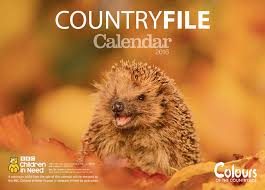 10 Best Gifts For Wildlife Lovers Nature Moms Happy Hedgehog Photography Ebooks Britain