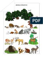 Acum, în recreaţii, elevii se cotonogesc, fumează, îşi înjură dascălii. Mi Am Pierdut O Batistuta