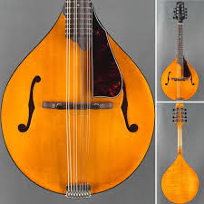 The Mandolin Store added a new photo.