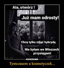 Jednym jest praktyka, drugim są książki. Koronawirus Na Wesolo Zobacz Najnowsze Memy 04 04 2020 Dolnoslaskie Nasze Miasto