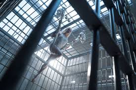 I Dont Know What I Fucking Expected, Part 2: Suicide Squad | The Cutprice  Guignol