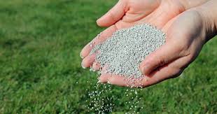 You will also need to wait around four weeks if you want to plant more grass. How Long Does It Take Granular Fertilizer To Work Lawn Chick