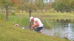 Glimmer of life rescues small dogs facing euthanasia in the south florida area to give them the chance at life that they deserve. Florida Man Rescues Dog From Alligator Attack Captured On Video