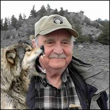 Why did the Houston Humane Society host a Halloween dissection lab?