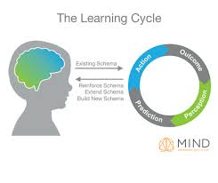 What The Perception Action Cycle Tells Us About How The Brain Learns Brain Learning Perception Cycle