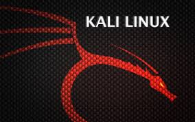 Open a terminal, and make a trojan.apk. Backtrack To Be Reborn As Kali Linux