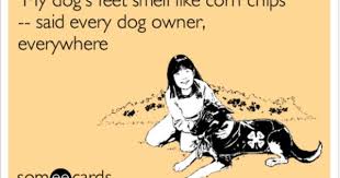 Pin By Kathryn Laeder On Humor Ecards Funny E Cards Humor