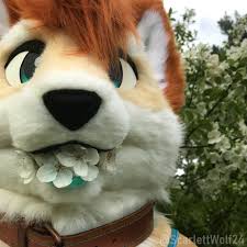 Happy Fursuit Friday! - Bad Dog! Spit those out! 🐶🌸 : r/furry