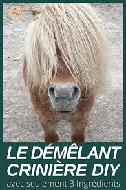 Epingle Sur Equitation