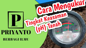 We did not find results for: Cara Mengukur Tingkat Keasaman Ph Tanah Youtube