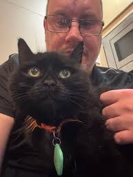 Paisley Ava Welsh 2m Skirlies Cafe Paisley 10h Anyone missing this wee guy?  Was found