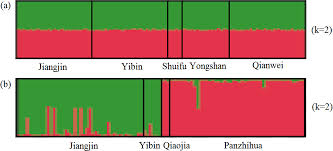 genetic structure of two sympatric gudgeon fishes