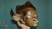 In successive traditions they may change in meaning but they still remain within. Top 10 Scary Human Animal Hybrid Stories Youtube