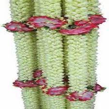 Check spelling or type a new query. Paru Craft Jasmine Artificial Flower Garland Multicolor Jasmine Artificial Flower Price In India Buy Paru Craft Jasmine Artificial Flower Garland Multicolor Jasmine Artificial Flower Online At Flipkart Com
