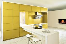 Whether you choose maple, cherry, or honey oak cabinets, any type of wood. Mustard Yellow Kitchen Cabinets Ideas 17 Photos Hackrea