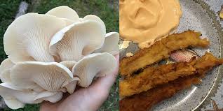 It can improve the skin & coat as well as help digestion. Cooking With Wild Mushrooms Mushroom Mountain