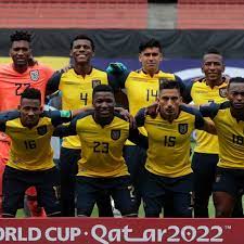 Vinculación con empresas de mario pineda gonzalez. Copa America 2021 Ecuador S Squad For The Competition
