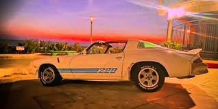 Image result for White 1981 Fleet