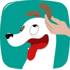 Nettoyer Oreille Chien 4 Etapes A Respecter Nettoyer Oreille Chien Chien Chien Rouge