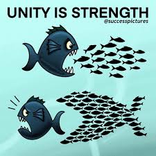 Unity Is Strength In 2020 Meaningful Pictures Unity Quotes Unity