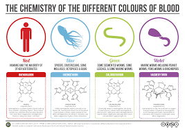A quiz from shrews to whales. 100 Fun Chemistry Facts With Awesome Explanations