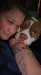 Lost dogs in Calhoun County found