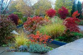 We did not find results for: Toronto Gardens Garden Colour Without Flowers Toronto Gardens Fruit Garden Design Colorful Garden