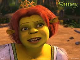 It is a python wrapper for vector data access functions fiona trades memory and speed for simplicity and reliability. Fiona Face Close Up Fiona Shrek Shrek Princess Fiona