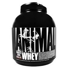universal nutrition whey muscle