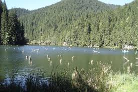 Harta rutiera detaliata italia, cautare interactiva strazi. Despre Lacu Rosu Romania Prezentare Imagini Informatii Turistice Si Detalii Despre Statiunea Lacu Rosu