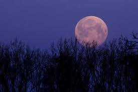 Venture outside on the night of monday, april 26, to catch a glimpse of april's full pink moon. April Pink Full Moon Readers Photos Of The Supermoon Science The Guardian