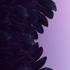 Meet Shivani. 🐾💜 Shivani is currently a a sophomore (senior standing) at  the UW, studying Biology (@uwbiology). 🎓 Their research interests have  recently found them studying neonatal neuroscience with mentors Daniel  Moralejo,