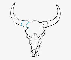 I really love how much work and effort you put into your art. How To Draw Bull Skull Buffalo Skull Easy Drawing Hd Png Download Transparent Png Image Pngitem