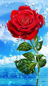 Download Rose Wallpaper By Georgekev 04 Free On Zedge Now Browse Millions Of Popular Blue Hd Flower Wallpaper Purple Roses Wallpaper Red Roses Wallpaper
