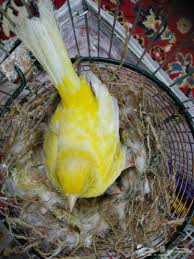 انحناءات جسمانية تلهب الرغبة إلى جانب تفاعل الأشباح والإشراق