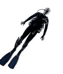 The program will teach you the safety precautions you need to know, and professional divers will teach you the proper way to dive. Certifications Access Scuba Scuba Dive Classes St George Ut