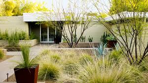 Lawns need more water than tucson's native droughts tolerate plants, period. Desert Landscaping Ideas From A Phoenix Front Yard Sunset Magazine