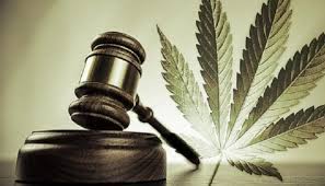 Alberto aziz nacif, profesor del centro de investigaciones sociales en antropología social (ciesas). Postura De Los Obispos Frente A La Legalizacion De Marihuana Para Uso Recreativo En Mexico Noticias Arquidiocesis De Monterrey