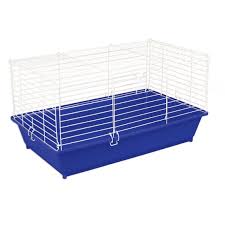 Pin On Small Animal Cage