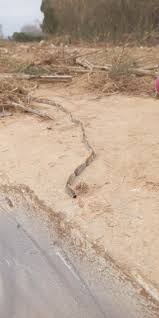 No eres de Torreblanca si...