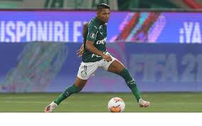 Palmeiras eu te amo 1914. Brasileirao Ao Vivo Onde Assistir Palmeiras X Gremio Na Tv E Online Noticias Da Tv