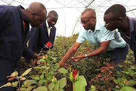 I've purchased this mosquito repellent for my husband as he loves fishing and he was planning to go again. Outsmarting The Elusive Greenhouse Thrips In Ten Simple Steps Aiph