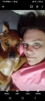 Lost dog Catalina found in New Columbia Park area