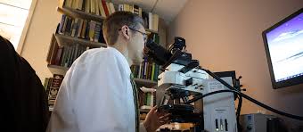 Image result for Polarized Microscopy