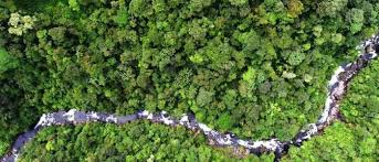 Learn about Braulio Carrillo National Park in Heredia, Costa Rica