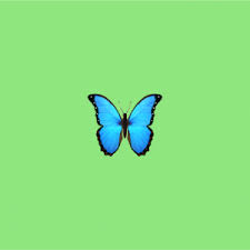 Atw What Does Butterfly Emoji Mean
