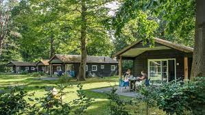 Naast de camping met kampeerplaatsen heeft het park ook bungalows, huurcaravans, kampeerarrangementen, seizoensplaatsen en vaste staanplaatsen. Molecaten Park De Leemkule Camping Ferienpark Veluwe Niederlande